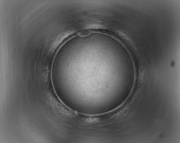 X0000116581313200912101531