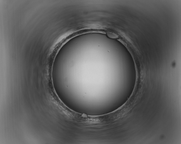 X0000116581315200912101531