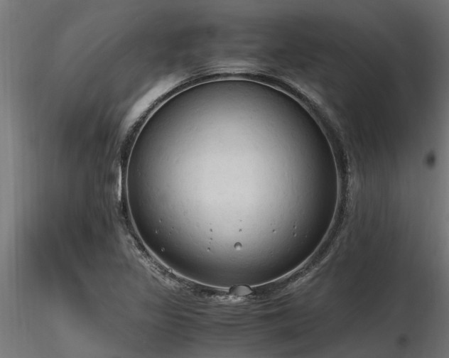 X0000116581317200912101531