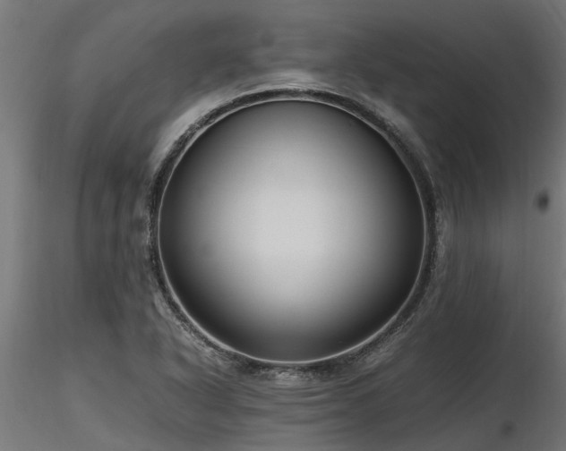 X0000116581318200912101531