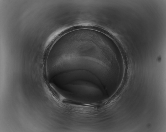 X0000116581319200912101531