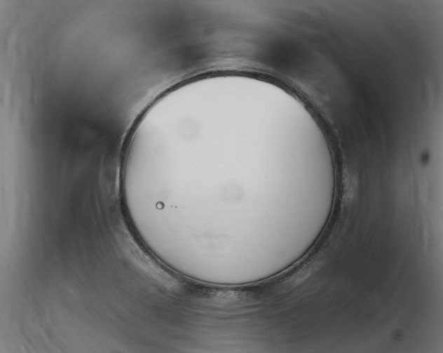 X0000116581322200912101531