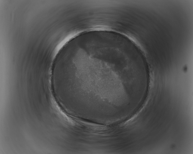 X0000116581325200912101531
