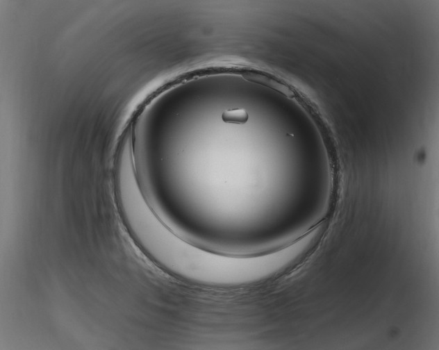 X0000116581326200912101531