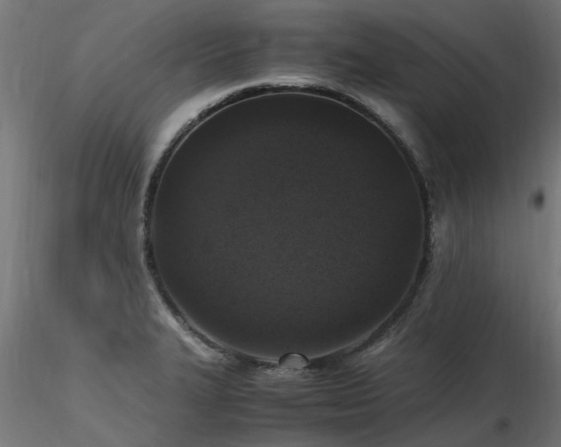X0000116581327200912101531