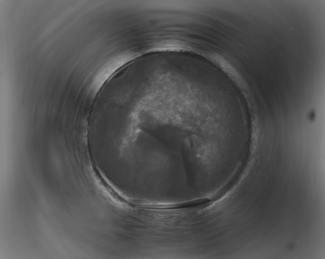 X0000116581329200912101531