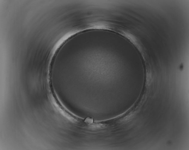 X0000116581331200912101531