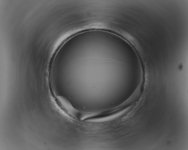 X0000116581334200912101531