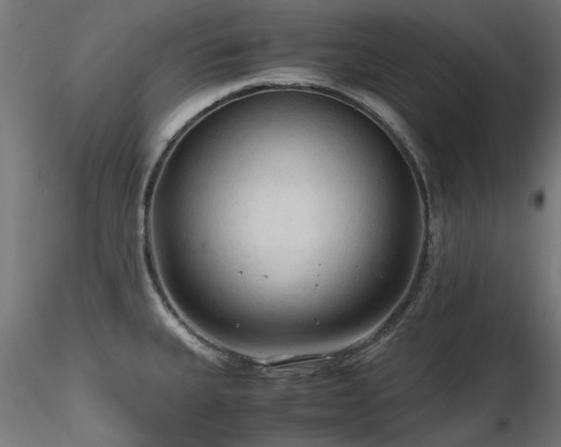 X0000116581335200912101531