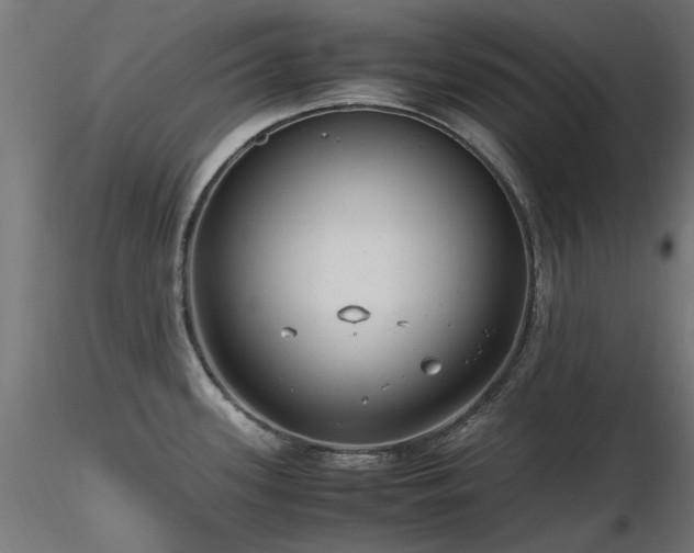 X0000116581339200912101531