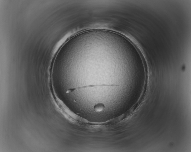 X0000116581341200912101531