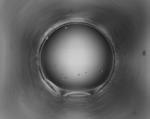 X0000116581342200912101531