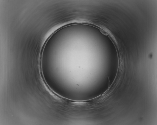 X0000116581343200912101531