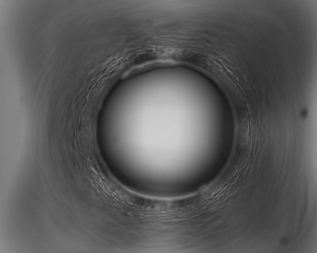 X0000116581345200912101531