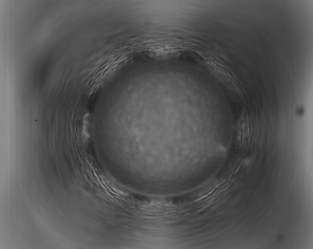 X0000116581346200912101531