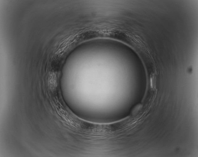 X0000116581347200912101531