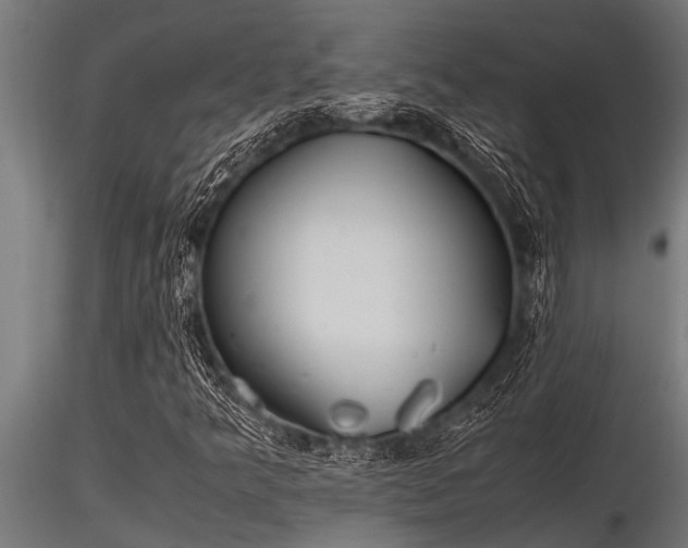 X0000116581349200912101531
