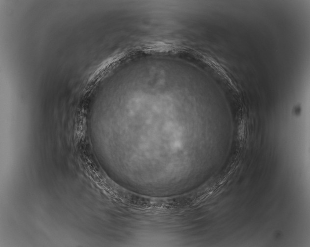 X0000116581350200912101531