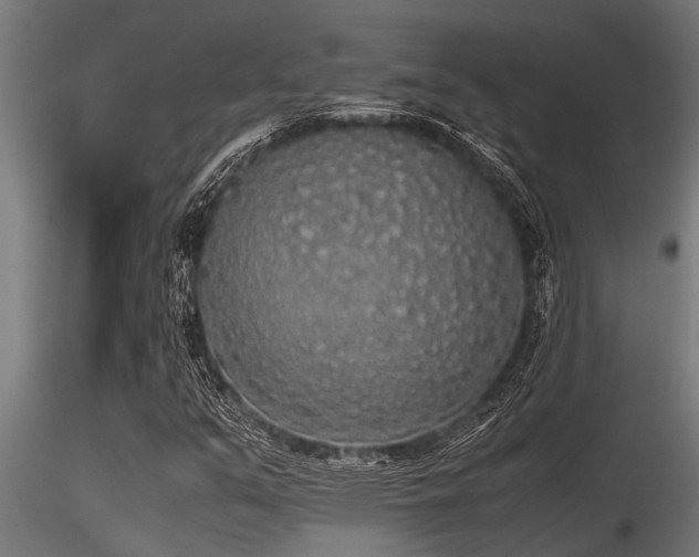 X0000116581351200912101531
