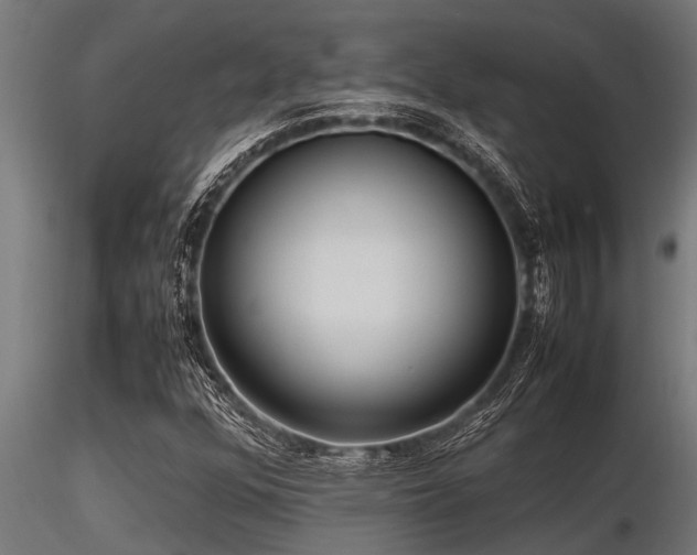 X0000116581352200912101531
