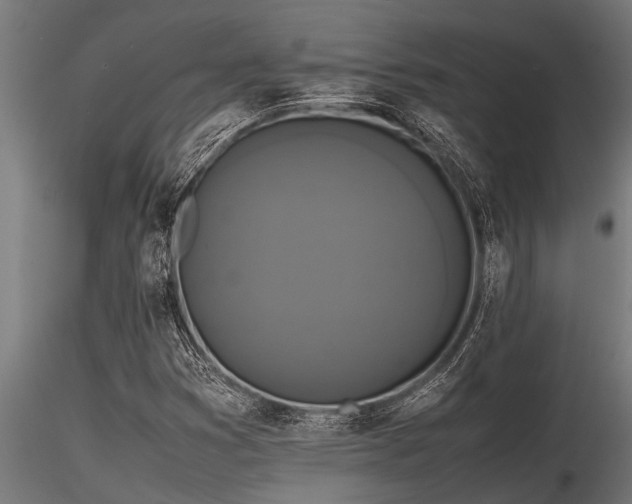 X0000116581353200912101531