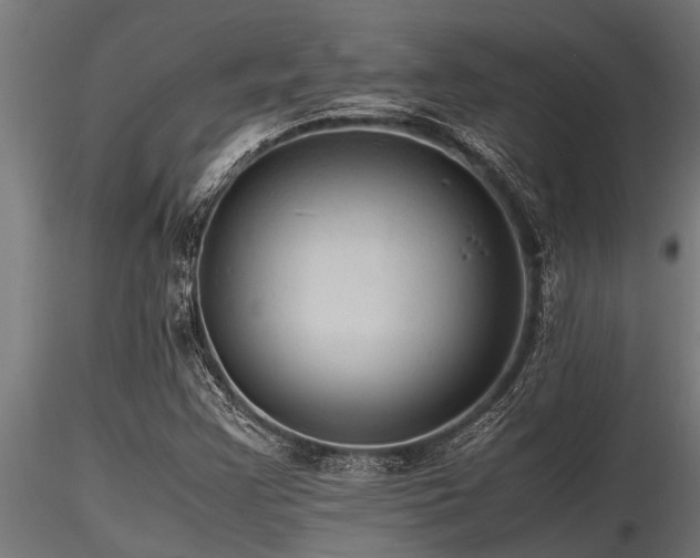 X0000116581355200912101531