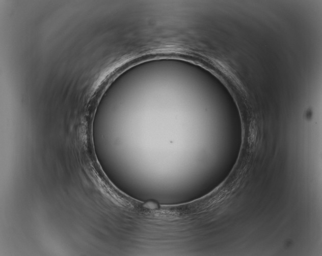 X0000116581356200912101531