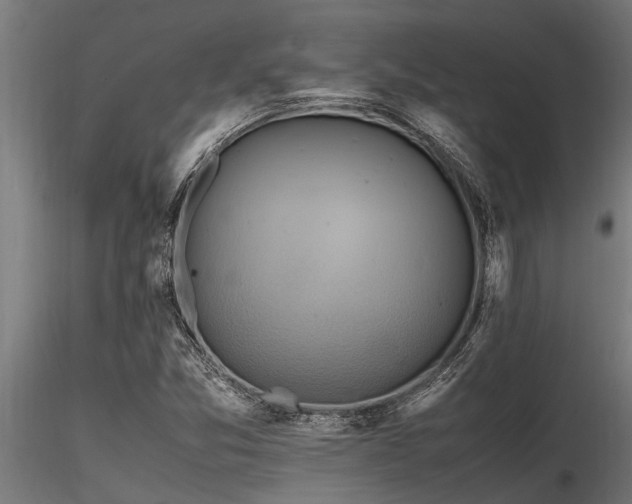 X0000116581357200912101531