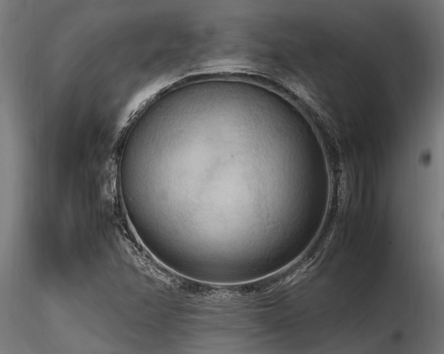 X0000116581358200912101531