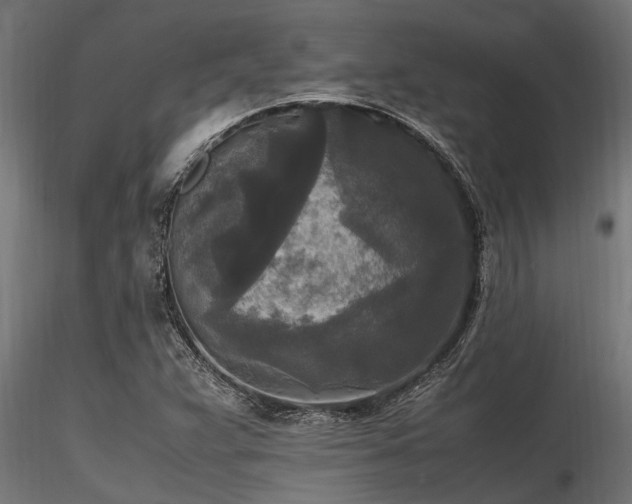 X0000116581359200912101531