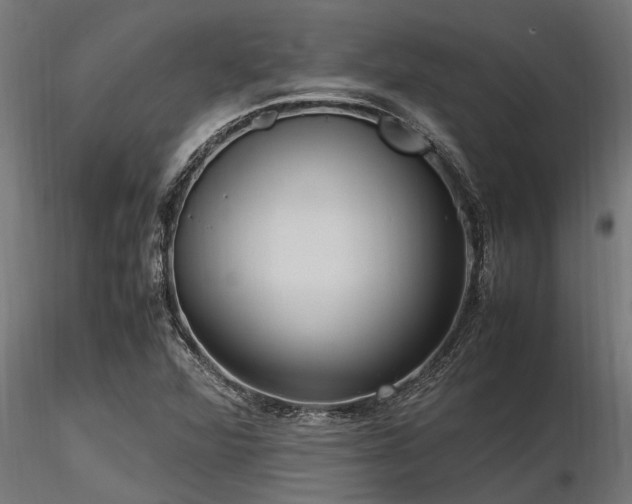 X0000116581360200912101531