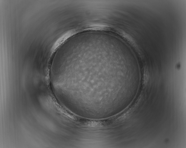 X0000116581362200912101531