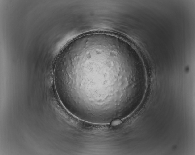 X0000116581363200912101531
