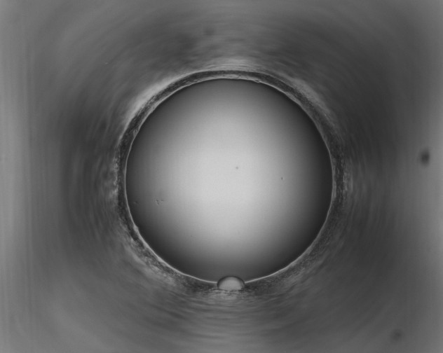 X0000116581364200912101531