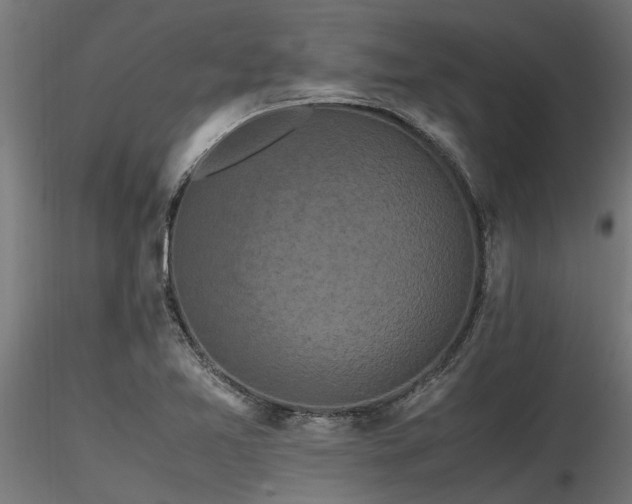 X0000116581365200912101531