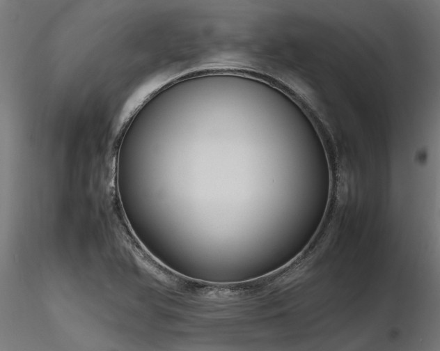 X0000116581366200912101531
