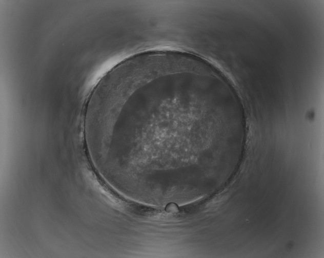 X0000116581367200912101531