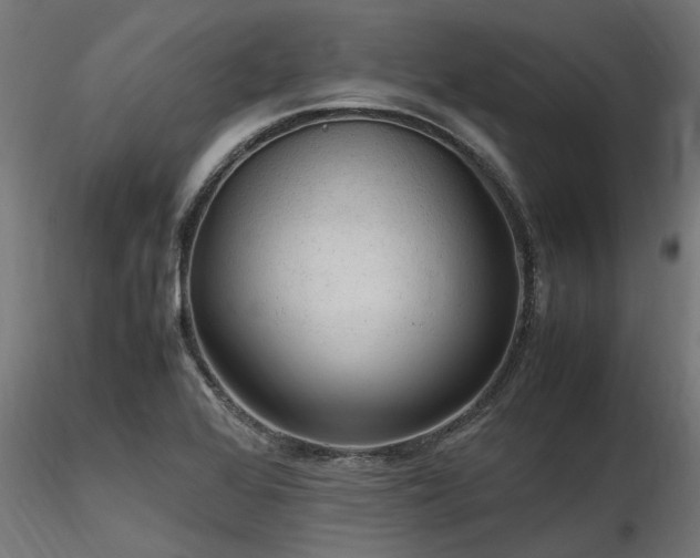 X0000116581368200912101531