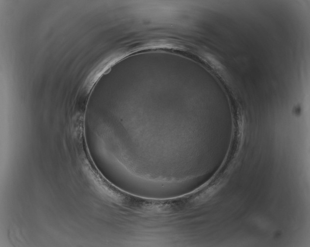 X0000116581369200912101531