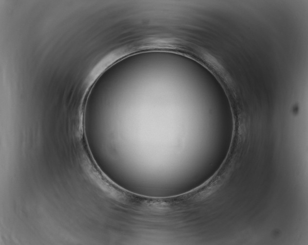 X0000116581370200912101530