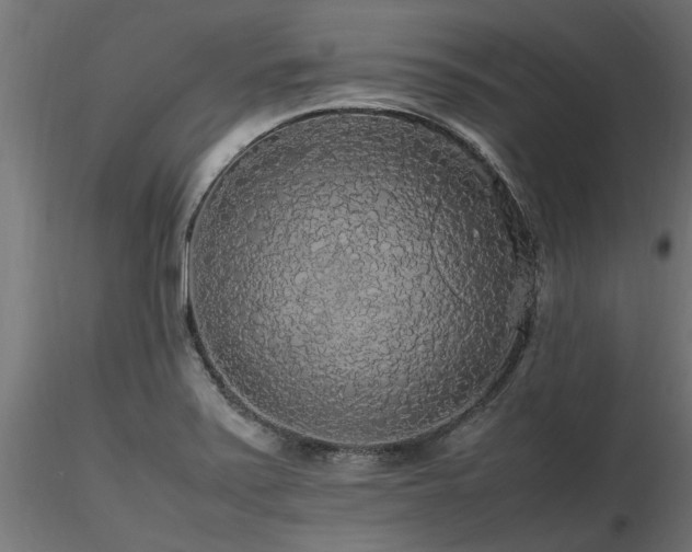 X0000116581371200912101530
