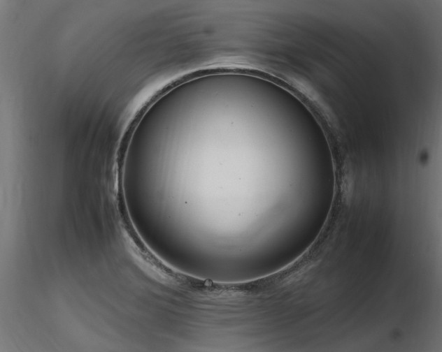 X0000116581372200912101530