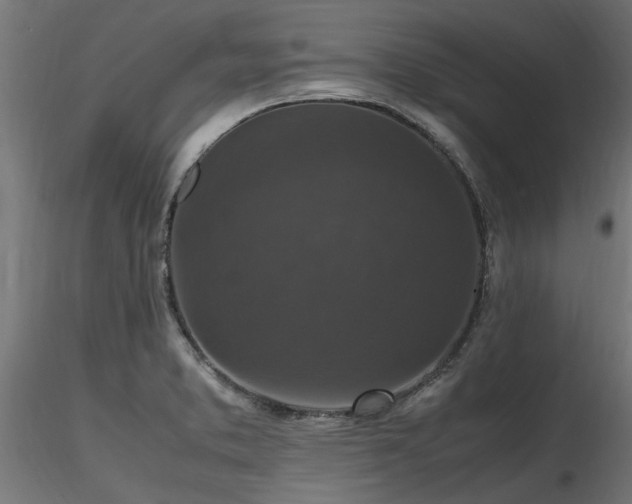 X0000116581373200912101530