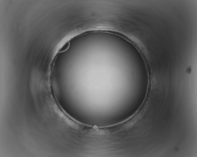 X0000116581374200912101530