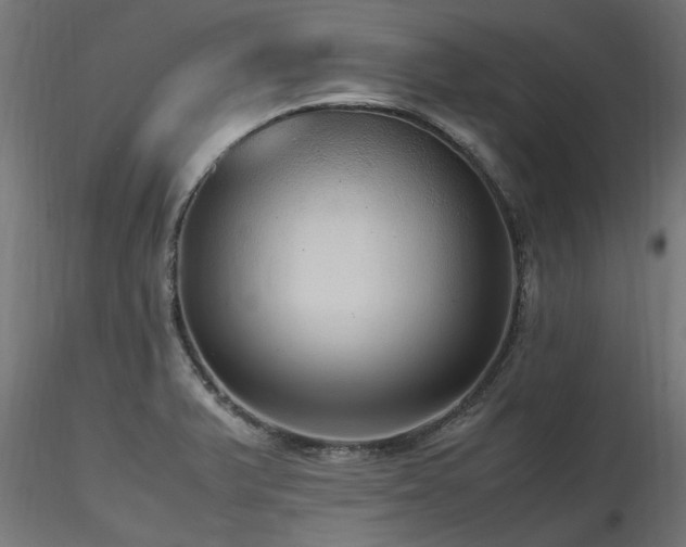 X0000116581375200912101530