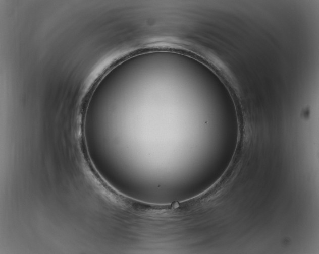 X0000116581376200912101530