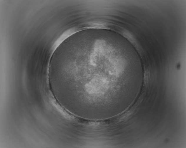 X0000116581378200912101530