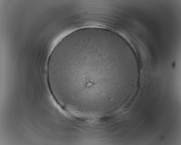 X0000116581379200912101530