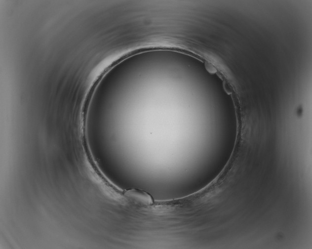 X0000116581380200912101530