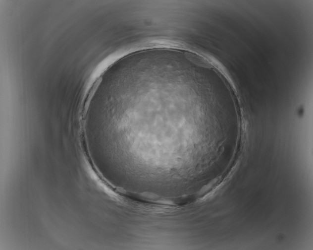 X0000116581381200912101530
